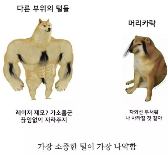 우리몸털.jpg